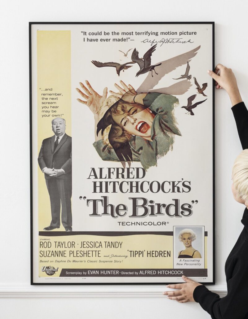 The Birds Universal poster