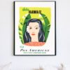 vintage hawaii travel poster