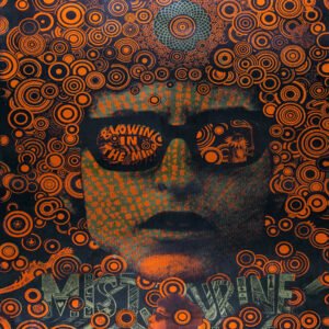 vintage bob Dylan poster