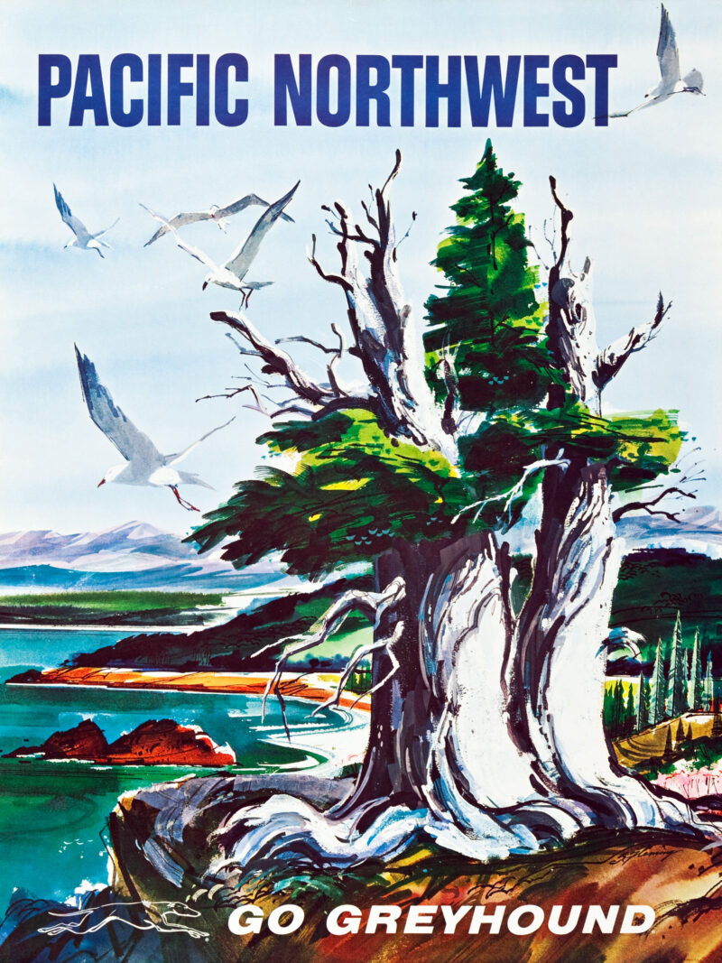 Vintage Pacific Northwest travel poster