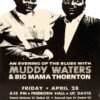 Muddy Waters & Big Mama Thornton 1967 Vintage Blues Concert Poster ā Classic 60s Music Memorabilia