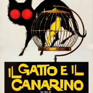 The Cat and the Canary 1979 Italian Movie Poster