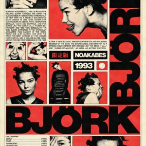 Björk Debut 1993 – Retro Alternative Music Poster